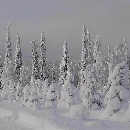 Ollilan Lomamajat Nyaraló *