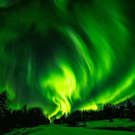 Nyaraló Ollilan Lomamajat *