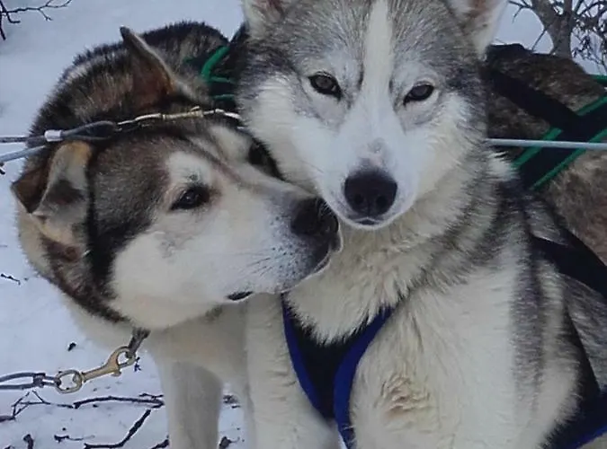 Ollilan Lomamajat Casa de Férias *
