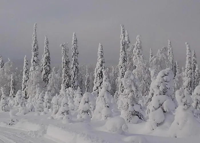 Ollilan Lomamajat Casa de Férias *