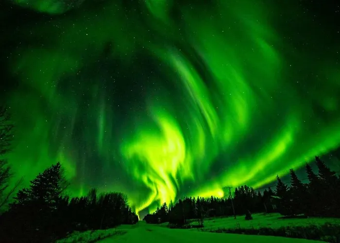 度假居 奥丽兰假日山林小屋 *